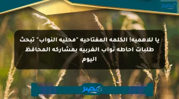 يا للأهمية! الكلمة المفتاحية “محلية النواب” تبحث طلبات إحاطة نواب الغربية بمشاركة المحافظ اليوم